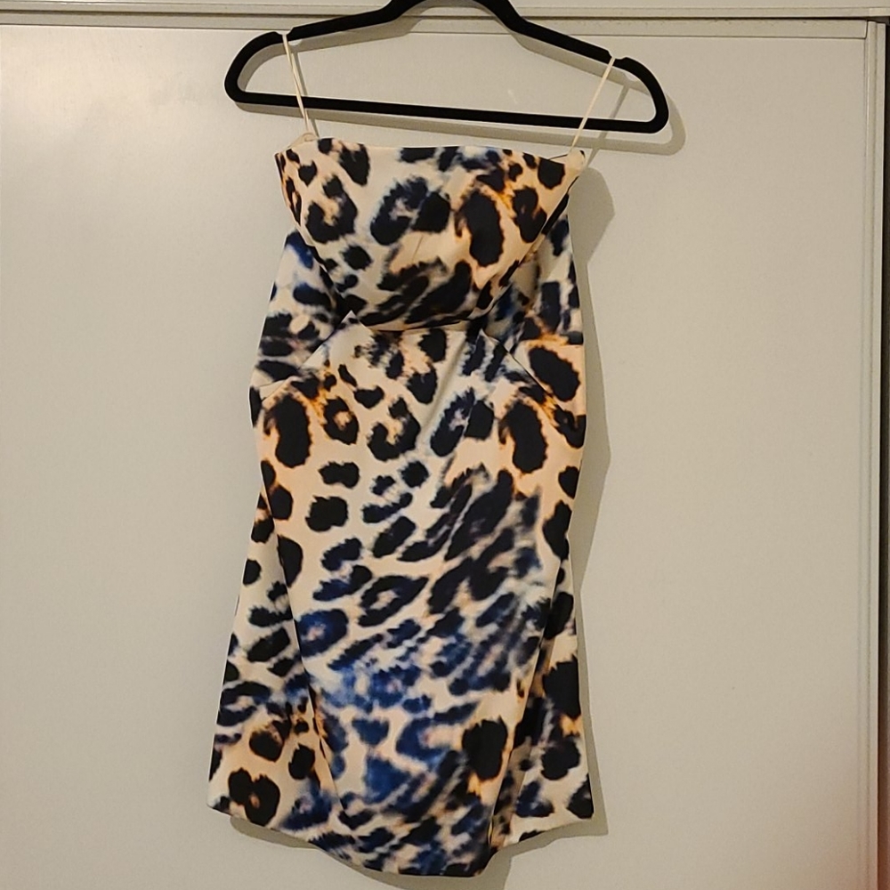 Cameo XS Strapless Dress